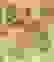 item-10415643=3
