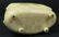 270A: 19th C SIBERIAN CARVED BONE LIDDED POLAR BEAR BOX - 8