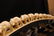 215: CHINESE HAND CARVED IVORY ELEPHANT BRIDGE - 3