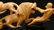 725: CHINESE IVORY ELEPHANT ATTACK GROUP FIGURE - 7