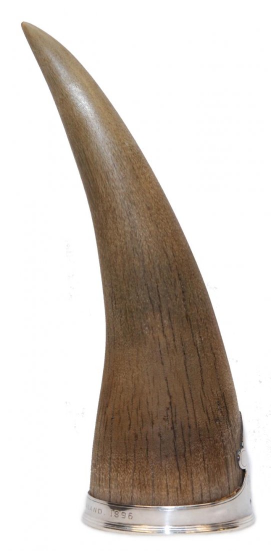 ANTIQUE AFRICAN RHINOCEROS HORN IN ENGLISH SILVER: Antique natural rhino horn acquired near the Bua River circa 1896. Very nice light brown tone with some age cracking near base. Mounted in English silver base with crest and motto. Measures 9 7/8" hei