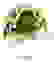 item-12241306=5
