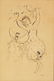 34: MARC CHAGALL INK ON PAPER OF DANCER & DOVES SIGNED