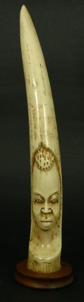 AFRICAN IVORY TUSK RELIEF CARVED BUST: African ivory tusk hand carved relief depicting a tribal man. Mounted to wooden base. Measures 14 3/8" height + 3/4" base height (36.5cm + 1.9cm). Total weight of 882 grams.