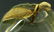 VINTAGE CARTIER CRYSTAL & GILT APPLE PAPERWEIGHT - 4
