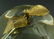 VINTAGE CARTIER CRYSTAL & GILT APPLE PAPERWEIGHT - 5