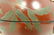 CHINESE PEACH FORM LACQUER BOX W/ OX BONE APPLIQUE - 3
