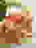item-25276775=3