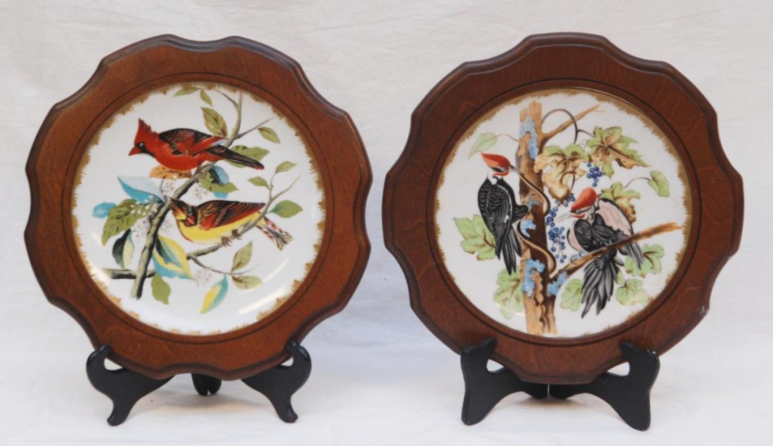 PAIR ANTIQUE CONTINENTAL HAND PAINTED BIRD PLATES: PAIR ANTIQUE CONTINENTAL HAND PAINTED BIRD PLATES Probably Limoges. Each measures 8" diameter (20.32cm). One depicts Cardinal the other woodpeckers. Comes in beautiful wooden frame. Total weight 1082g