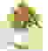 item-29441265=3