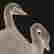 item-34881275=3