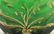 BOHEMIAN CUT EMERALD TO CLEAR JAPONISM VASE - 7