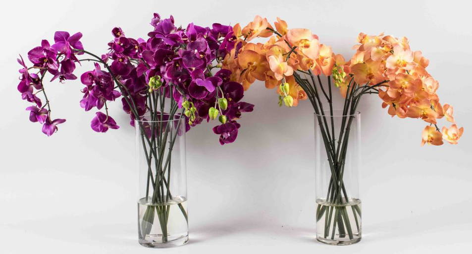 Two Silk Orchid Flower Arrangements