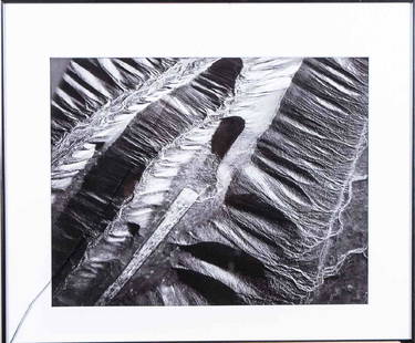 Marilyn Bridges (American, b 1948): Tay Feathers, Palpa Peru. Gelatin silver print, 1987. Signed, dated and titled on verso. Image size 14.5 x 18.3 inches, frame size 20 x 24 inches. Matted and framed. Notice to bidders: Due to the natu