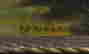 item-9540879=4