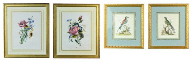 Two Pairs of Prints of Birds and Flowers: Comprising, a pair of floral prints by P.J. Redoute (Fr. 1759 -1840) and a pair of ornithological prints,The Swallow-Tailed Roller and The Guira Guainumbi of Marcqraue by George Edwards (Brit. 1694 - 