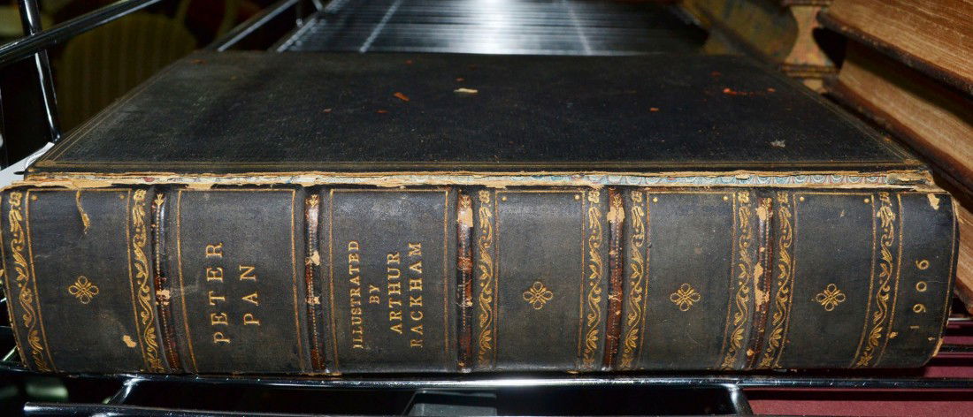 J.M. Barrie Peter Pan in Kensington Gardens: With drawings by Arthur Rackham. London: Hodder & Stoughton, 1906.