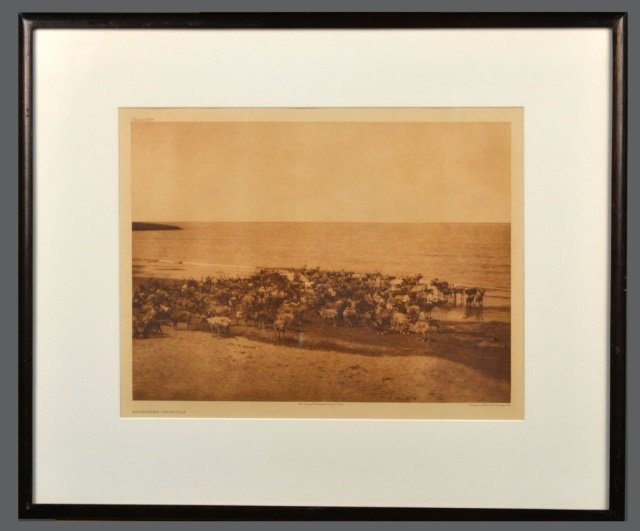 Edward Sheriff Curtis (American, 1868-1952): Reindeer - Nunivak. Vintage Photogravure, original image circa 1928, printed by John Andrew & Son and Suffolk Engraving Co. Credited (l.c.), copyrighted (l.r.), titled (l.l.), plate # 689 (u.l.). Imag
