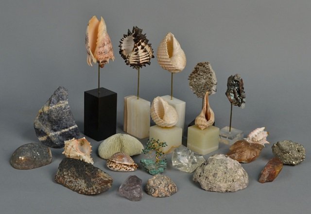 Group of Mineral Specimens and Seashells: Various specimens, some mounted, assorted sizes.