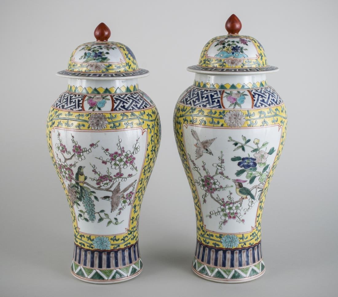 Pair of Chinese Porcelain Jars: Decorated with birds in flowering branches. Height 18 inches.