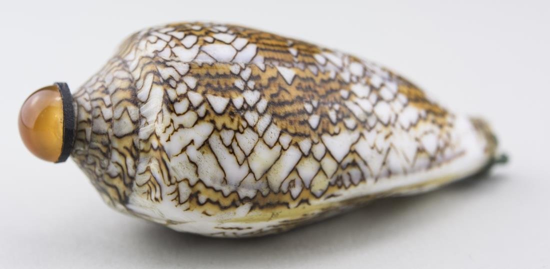 Chinese Mounted Seashell Snuff Bottle: Natural form, natural coloration, carnelian stopper, bone spoon. Height 3 1/8 inches. Provenance: From the Collection of Erwin A. Raible Notice to bidders: Condition reports and additional photographs