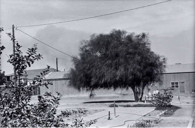 Lee Friedlander (American, b. 1954)*: Yuma, Arizona. Silver gelatin print, 1975. Printed 1970s. Friedlander's signature, in pencil, his copyright and date stamp, and the title and date, in pencil on verso. Size 7.4 x 11 inches. Notice to