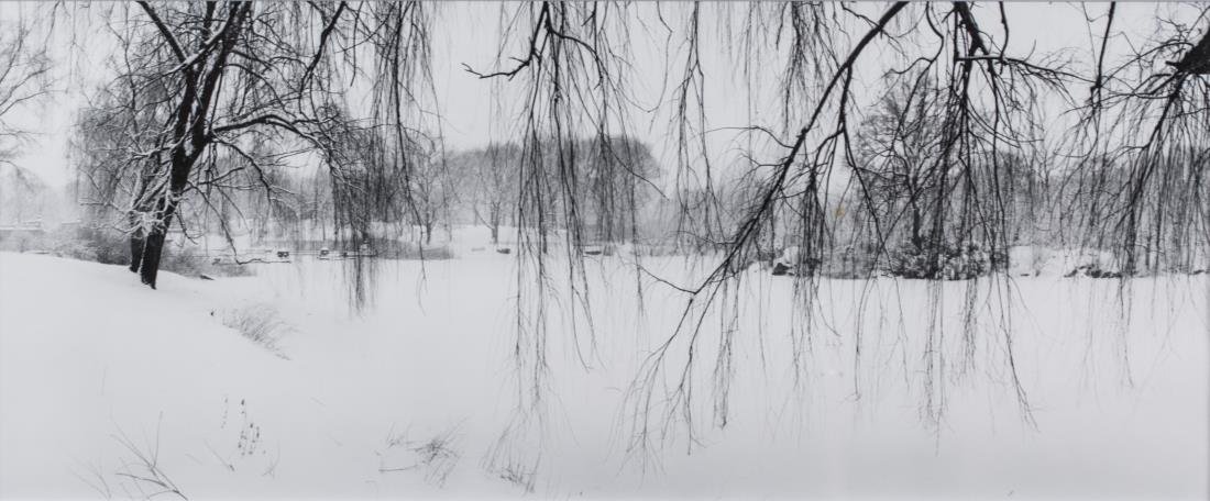 Bruce Davidson (American, b. 1933): Central Park. Gelatin silver print, 1992. Signed on verso. Image size 5.5 x 11.75 inches, frame size 11.5 x 18.75 inches. Matted and framed. Notice to bidders: Condition reports and additional photogr