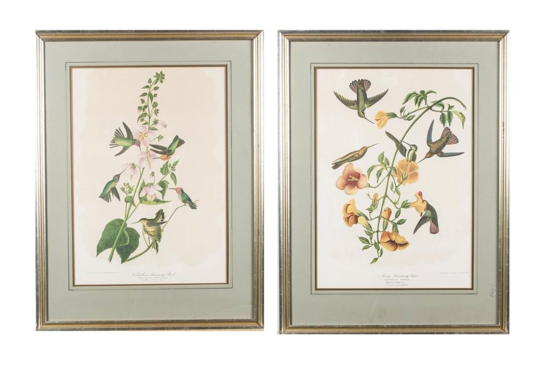 Pair of Julius Bien Prints After Audubon: Julius Bien (1826-1909). Mango Hummingbird and Columbian Hummingbird. Lithographs, 1860. Sight size 21.5 x 14.5 inches, frame size 29 x 21.5 inches. Matted and framed. Provenance: Ruchi K Jain, New Yo