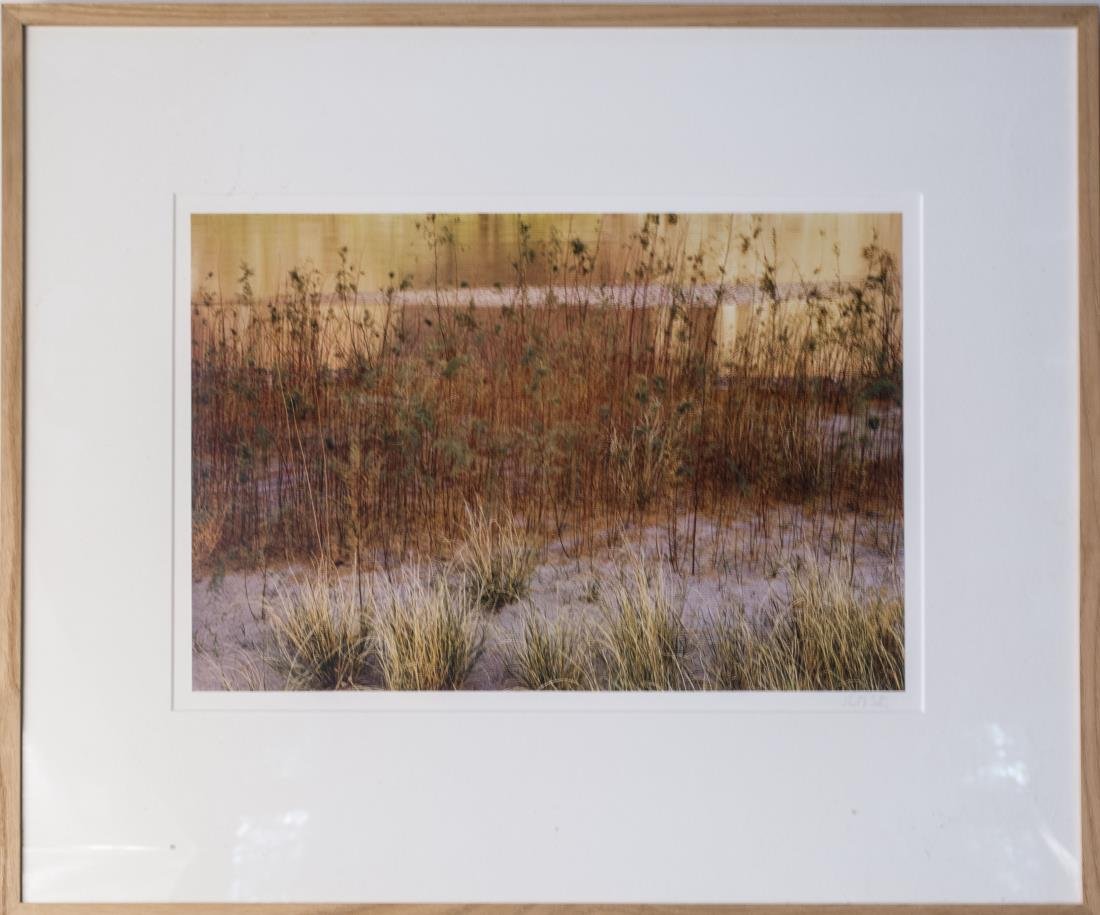 Eliot Porter (American, 1901-1990): Tamarisk and Grass, River's Edge, Glen Canyon, August, 1961. Dye transfer print , 1961. Printed 1980. Signed in pencil (LR). The portfolio copyright stamped on reverse, from the Portfolio of Glen Cany