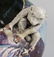 Chinese Monkey Bowl - 2