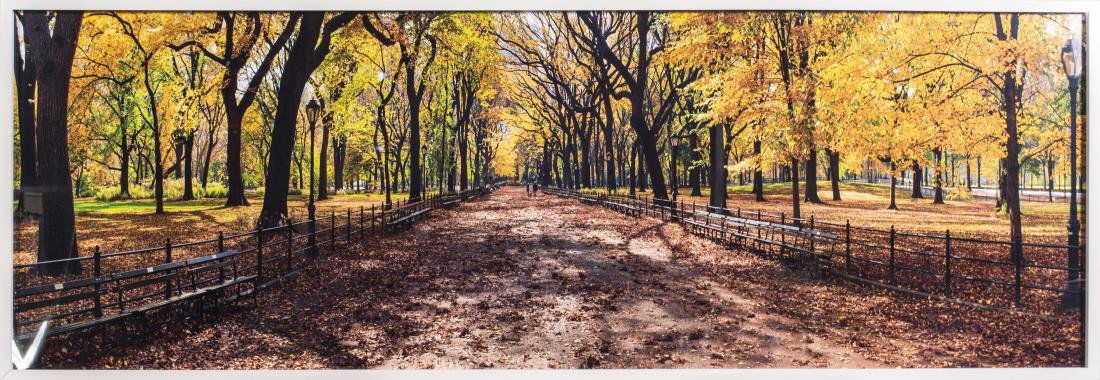 Peter Lik (American/Australian, b. 1959): Central Park (November in New York, New York). Cibachrome color print mounted on plexiglass, 2009. Edition 135/950. Certificate of authenticity attached to the verso. Size 79 X 27 inches. Framed. Noti