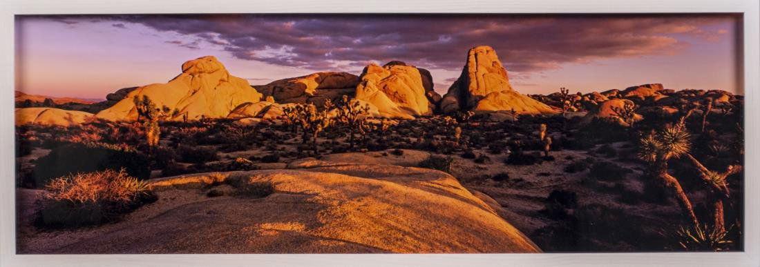 Peter Lik (American/Australian, b. 1959): Desert Garden (Location: Joshua Tree National Park, California). Cibachrome color print mounted on plexiglass. Edition 18/950. Certificate of authenticity attached to the verso. Size 29 X 10 inches. F