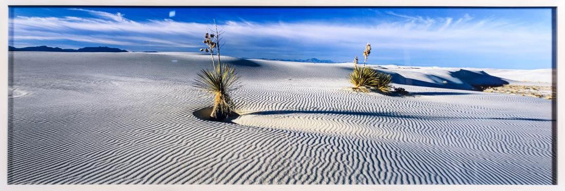 Peter Lik (American/Australian, b. 1959): Life (White Sands National Monument, New Mexico). Cibachrome color print mounted on plexiglass. Edition 52/950. Certificate of authenticity attached to the verso. Size 59 X 20 inches. Framed. Notice t