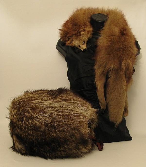 Fur Lot Fox Collar & Raccoon Muff: Down Filled Raccoon Fur Muff satin lined, supple pelt. Condtion:VG . Full Fox Collar with adjust clips. Cond:VG