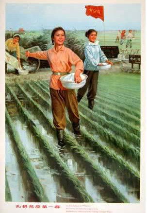 1974 Chinese Poster - Agricultural Campaign: Anonymous artist, 30.7 x 20.7". At the last minute, our poster consignor brought us a group of Chinese posters in the surprisingly nice condition. Clearly, this auction is not an ideal venue for such