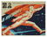 131: DEMENTIEV, R. To Space!, 1961 “emergency” poster