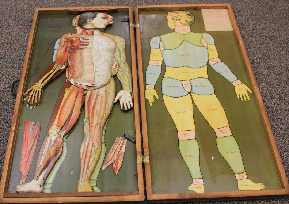 SMITH'S NEW OUTLINE MAP OF THE HUMAN SYSTEM, 1890s (1 of 5)