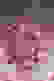 item-73328579=2