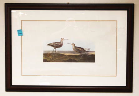 J.J. AUDUBON, 1836, FRAMED R. HAVELL PRINT: Subject- Long Legged Sandpiper Sight- 18" x 32" Overall- 30" x 44" Must use 3rd party shipper