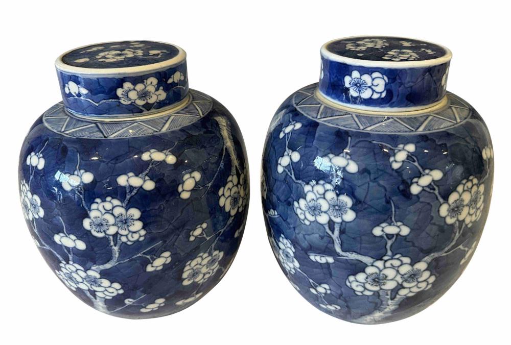 PAIR OF QING DYNASTY CHINESE BLUE & WHITE JARS (1 of 7)