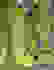 item-13729728=5