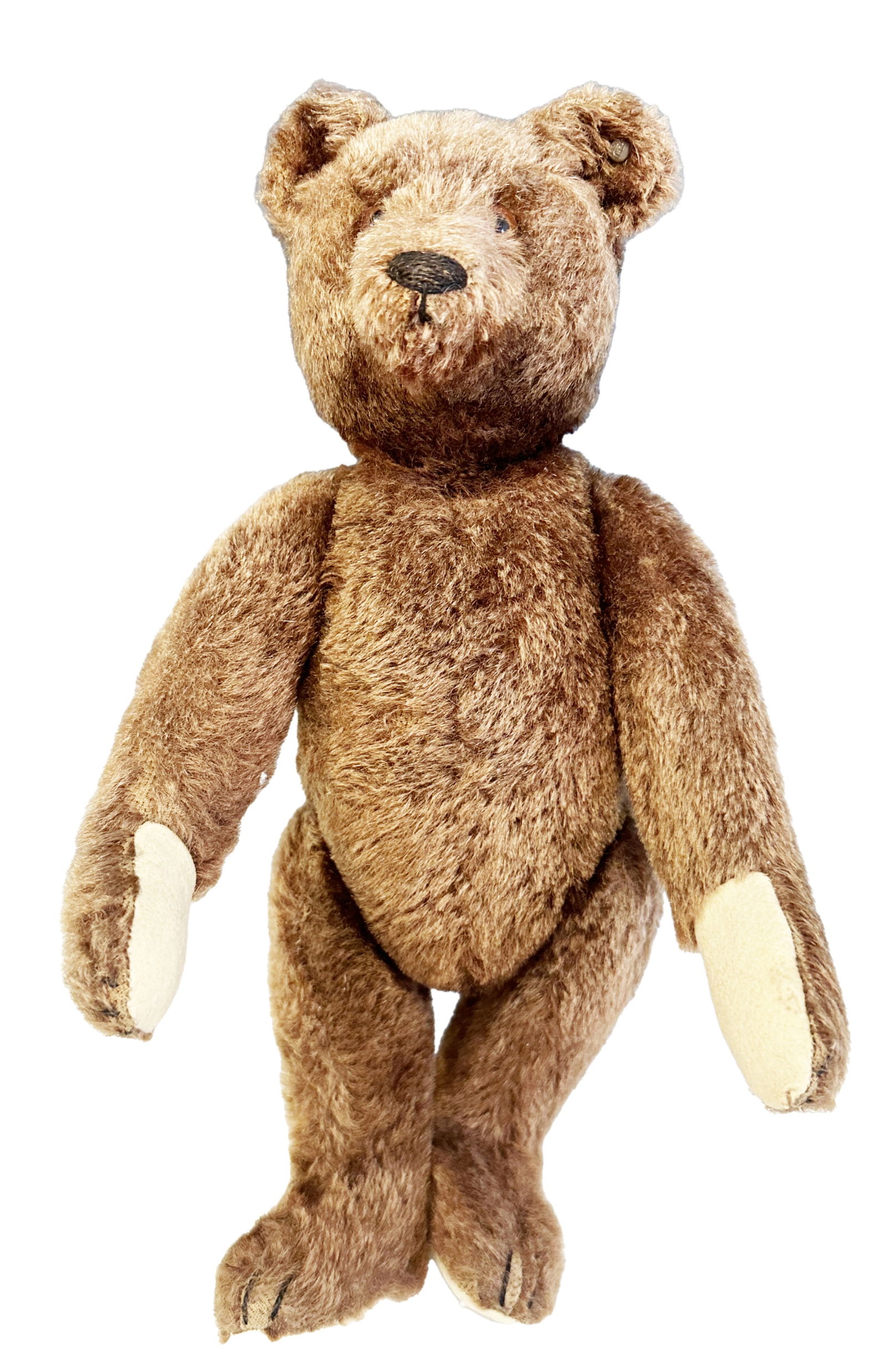STEIFF VINTAGE BEAR (1 of 5)