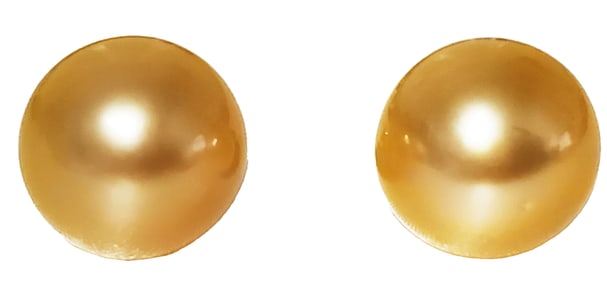 PAIR OF LADYS SOUTH SEA PEARL GOLD EARRINGS