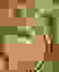 item-15429046=2