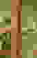 item-15429046=3