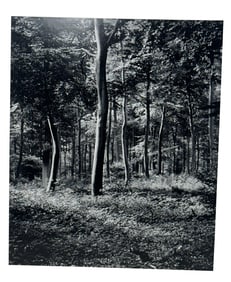 ROBERT K. BYERS PHOTO