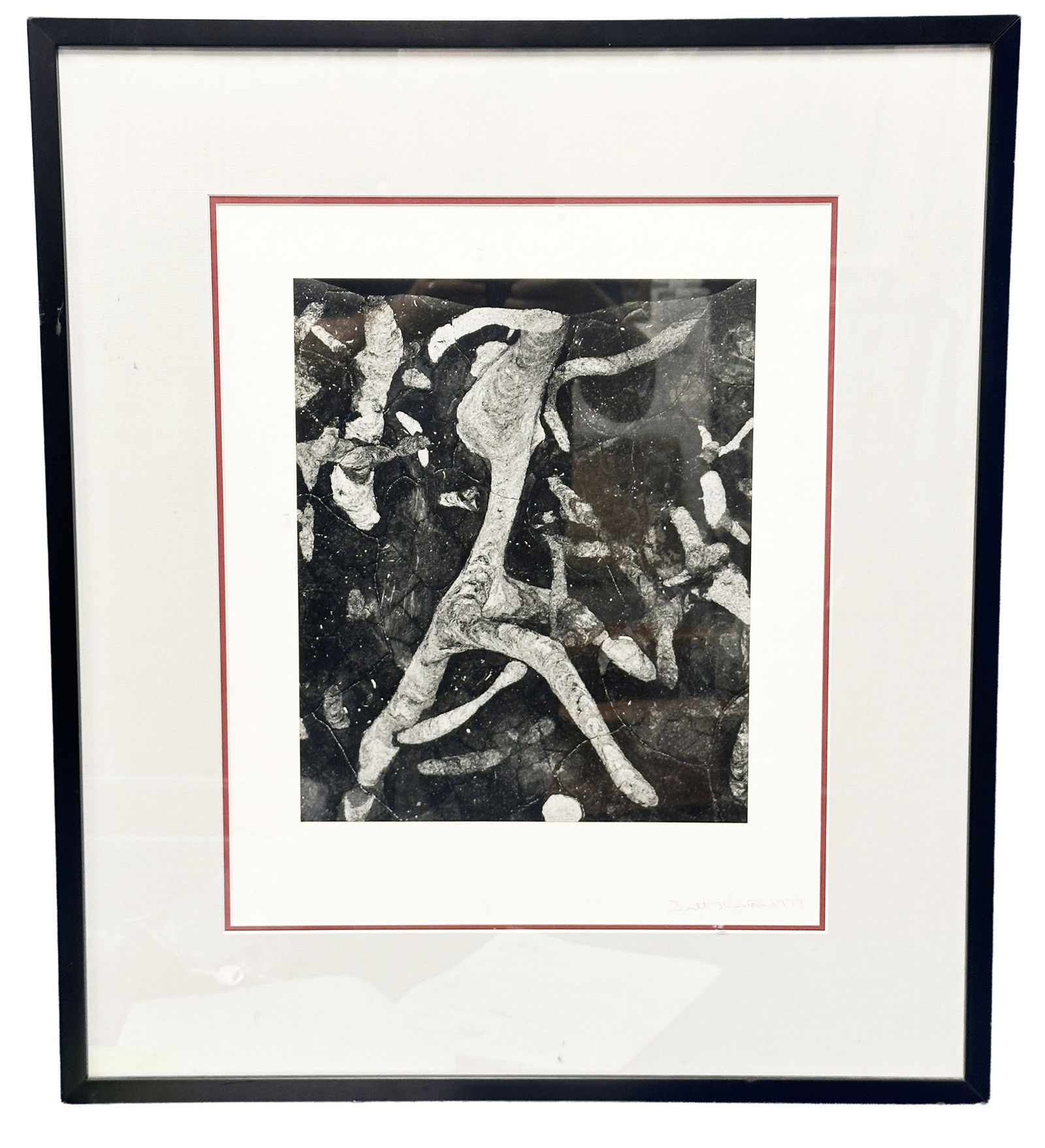 BRETT WESTON (1911-1993) PHOTOGRAPH: Pencil signed and dated 1977 Sight- 10 1/2" x 13" Overall- 22 1/4" x 25 1/2" Third party shipping for this lot