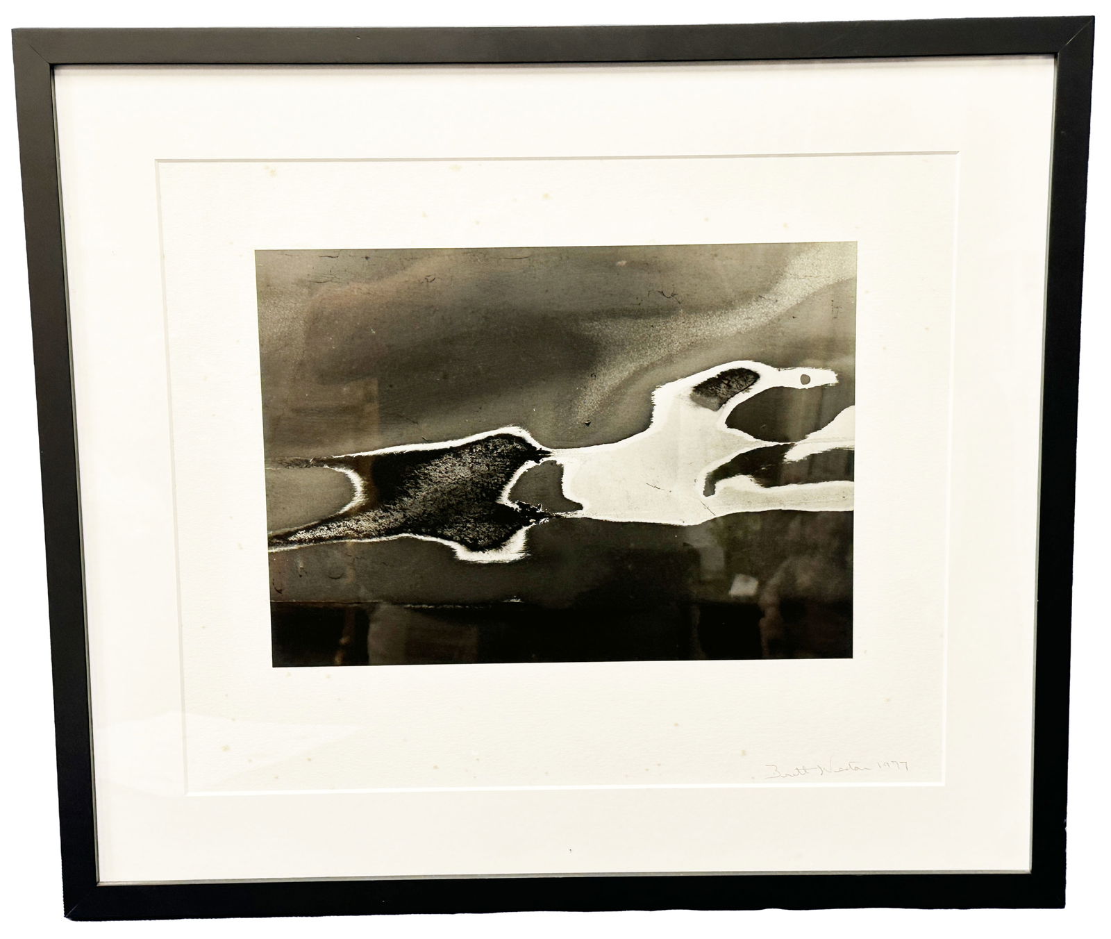 BRETT WESTON (1911-1993) PHOTOGRAPH: Pencil signed and dated 1977 Sight- 9" x 13" Overall- 19 1/2" x 22 1/2" Condition- fowing on matting Third party shipping for this lot