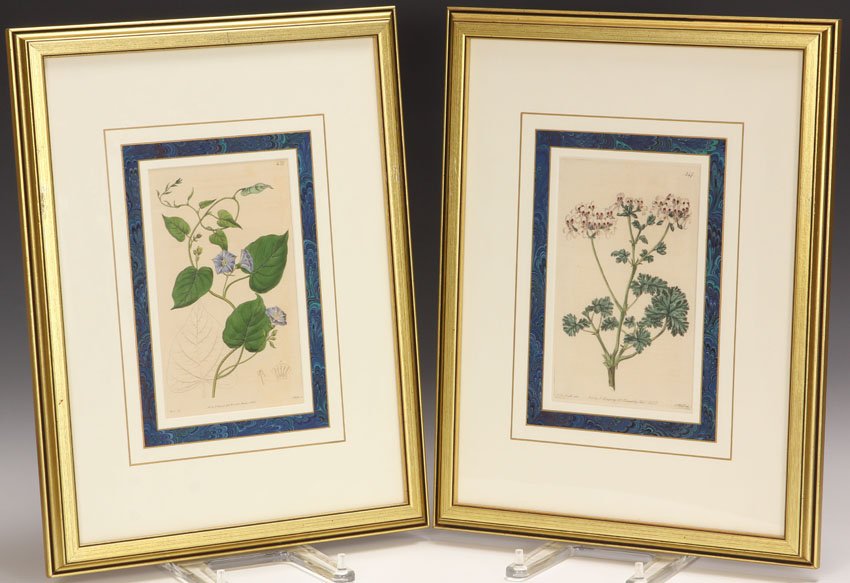 LOT OF (2) J. RIDGWAY, BOTANTICAL PRINTS: Dated 1820, 1825 Sight- 4 3/4" x 8" Overall- 13 3/4" x 17 3/4"