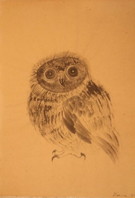 MORRIS GRAVES, WATERCOLOR: Study of Owl, 1957 Sight- 7" x 10 1/4"